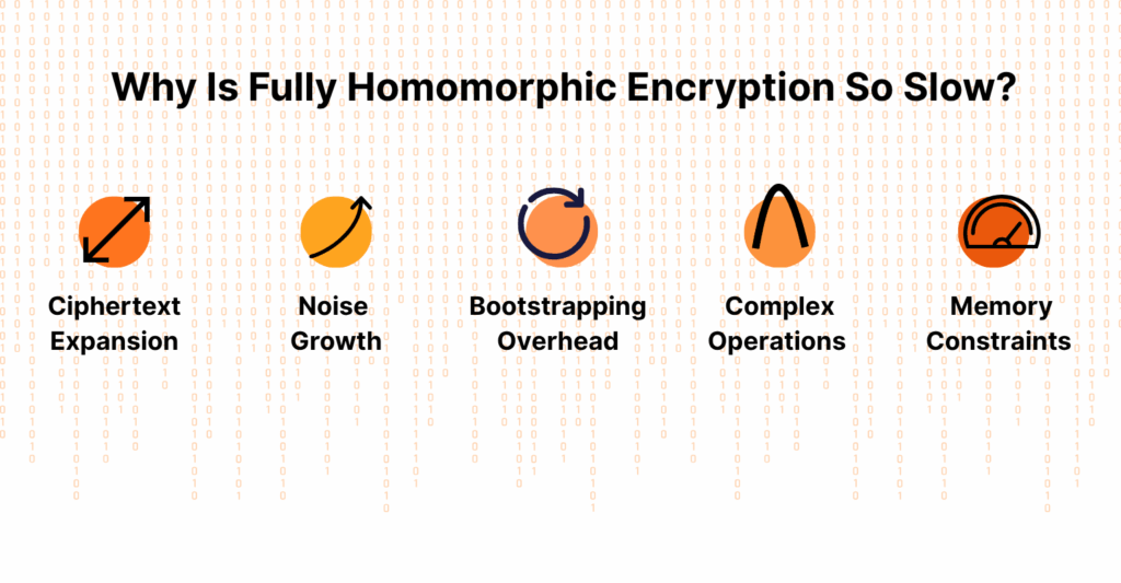 Factors that slow Fully Homomorphic Encryption s
